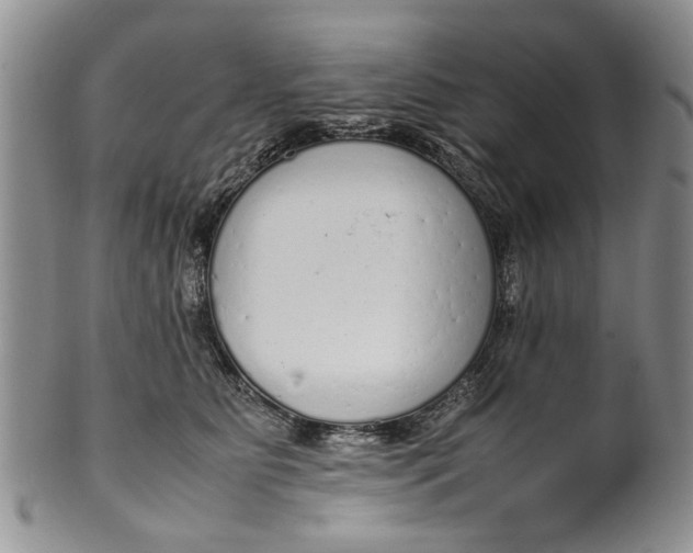 X0000099940515200806131428