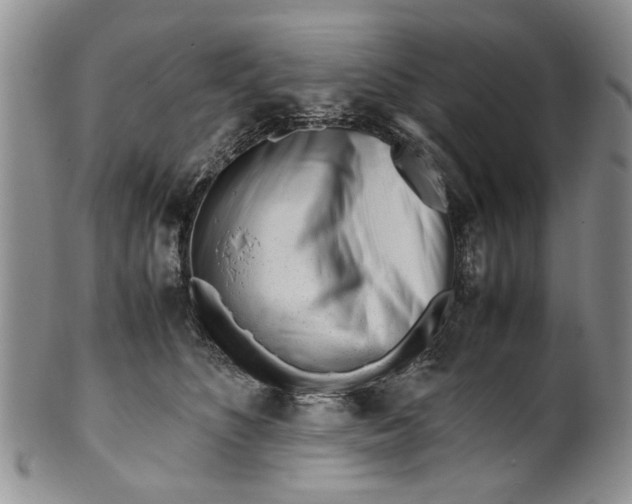 X0000099940516200806131428