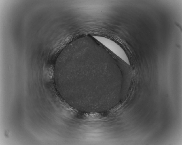 X0000099940517200806131428