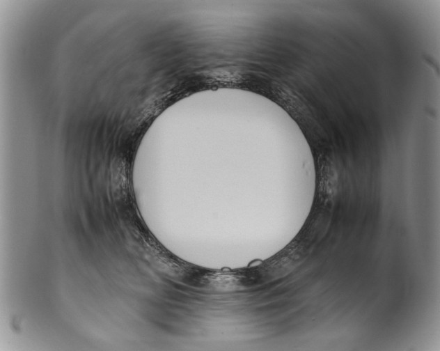 X0000099940518200806131428