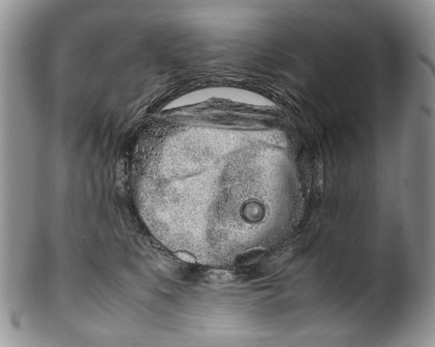 X0000099940519200806131428