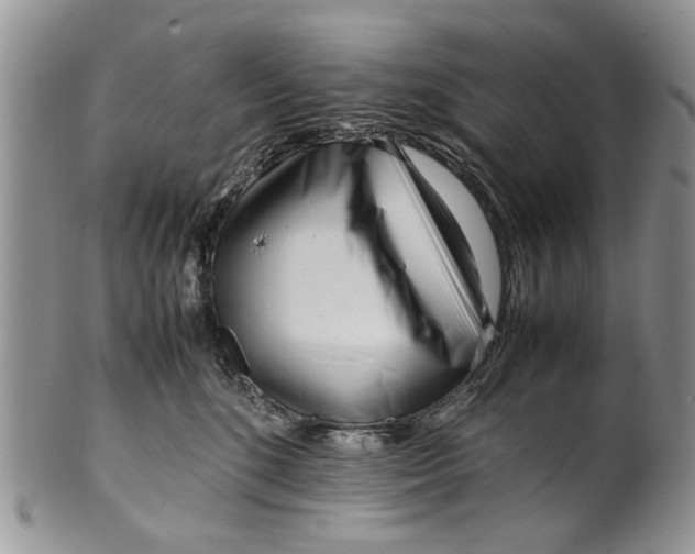 X0000099940520200806131428