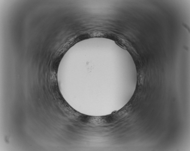 X0000099940521200806131428