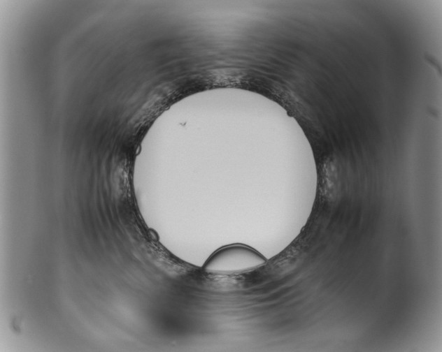 X0000099940522200806131428