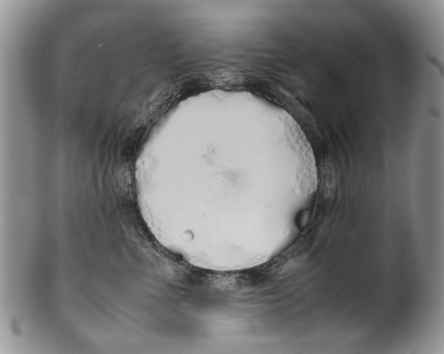 X0000099940523200806131428