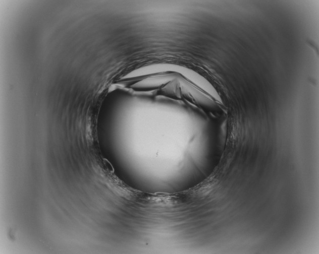 X0000099940524200806131428