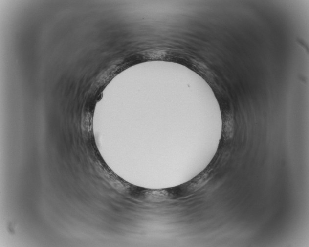 X0000099940525200806131428