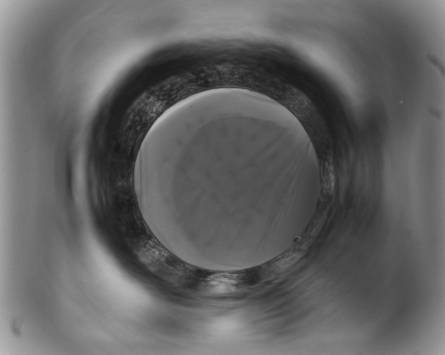 X0000099940526200806131428