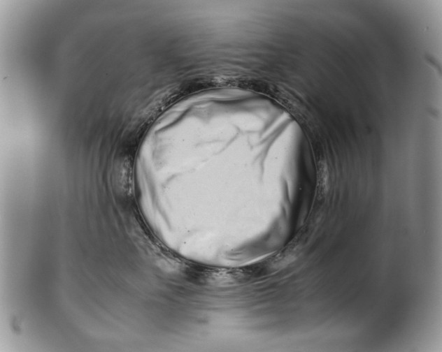 X0000099940527200806131428