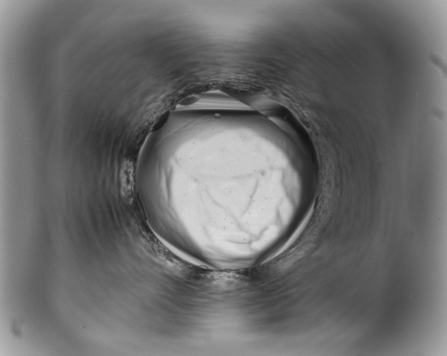 X0000099940528200806131428