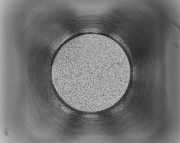 X0000099940529200806131427