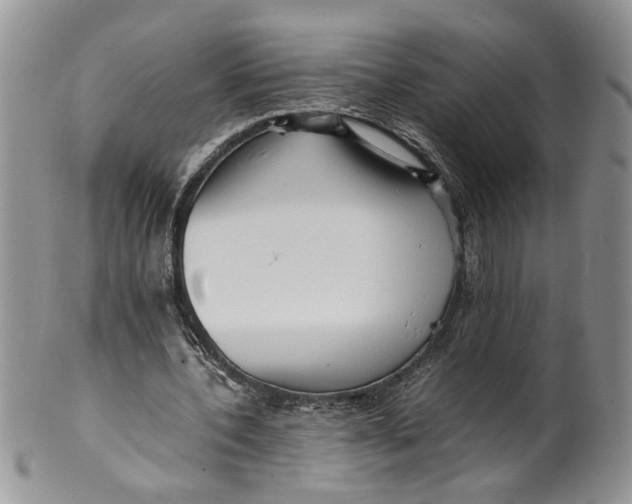 X0000099940532200806131427