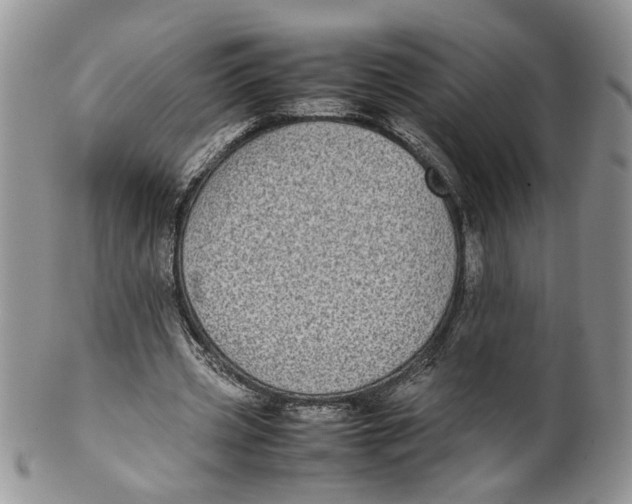 X0000099940533200806131427