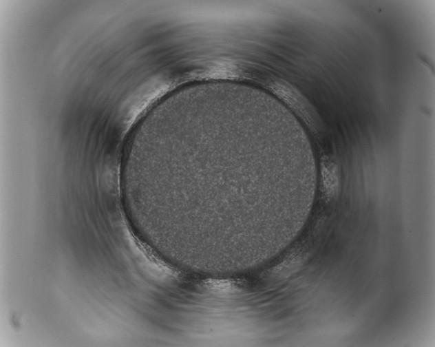 X0000099940534200806131427