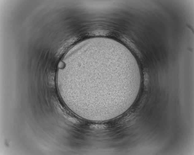 X0000099940537200806131427