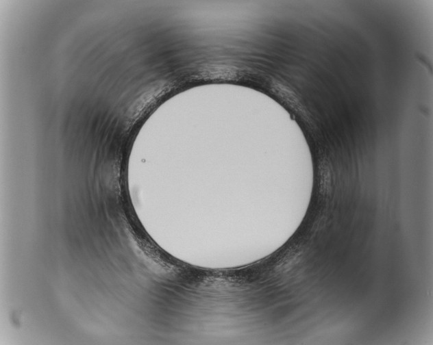 X0000099940538200806131427