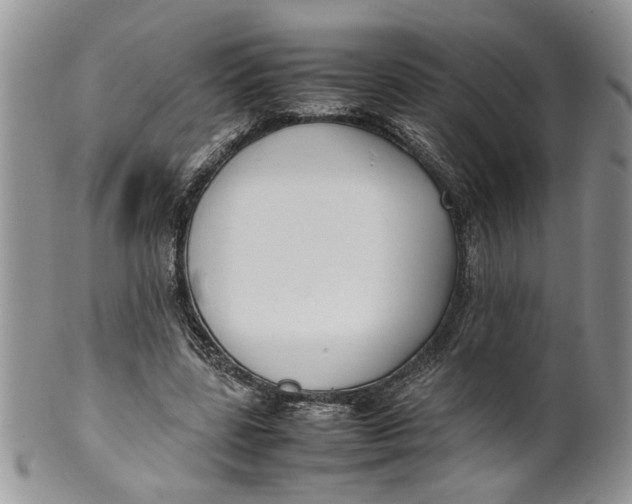 X0000099940539200806131427