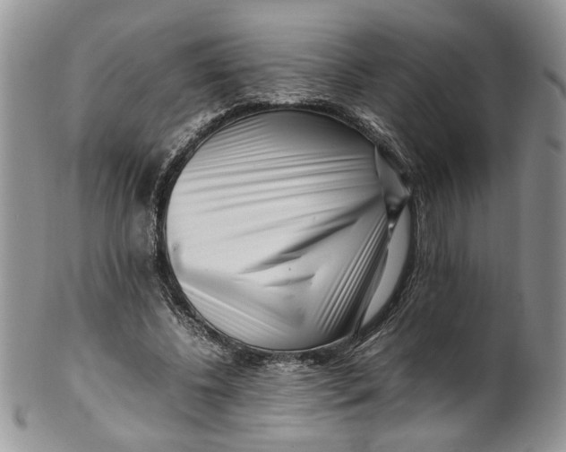 X0000099940540200806131427