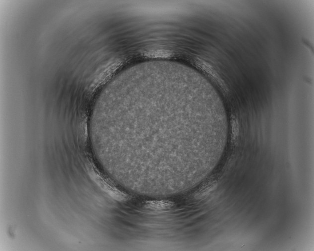 X0000099940541200806131427