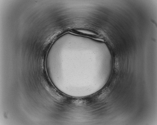 X0000099940542200806131427