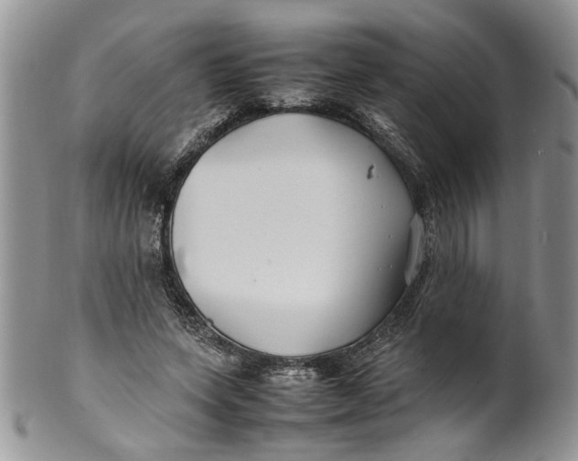 X0000099940543200806131427