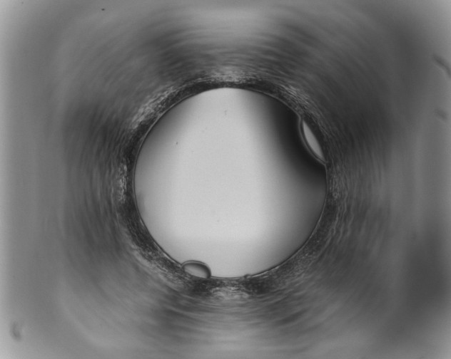 X0000099940544200806131427