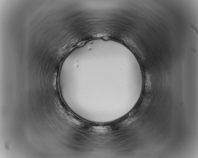 X0000099940545200806131427