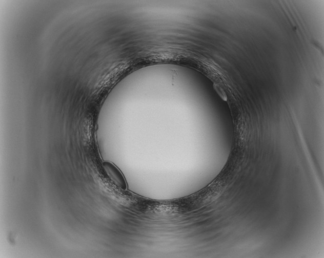 X0000099940546200806131427