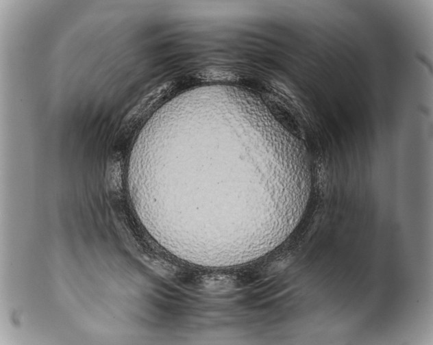 X0000099940549200806131427