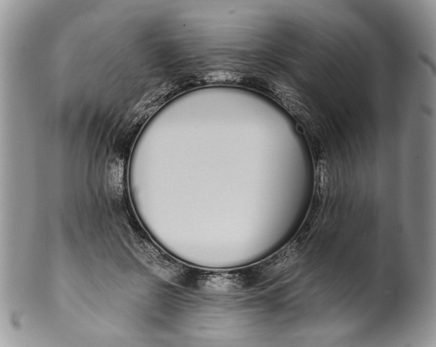 X0000099940550200806131427