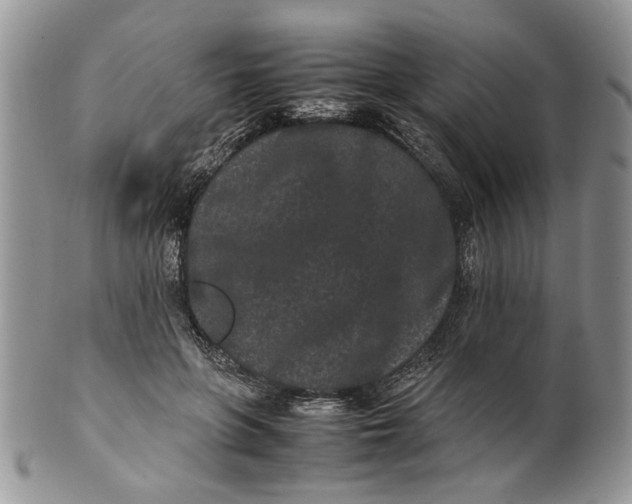 X0000099940551200806131427