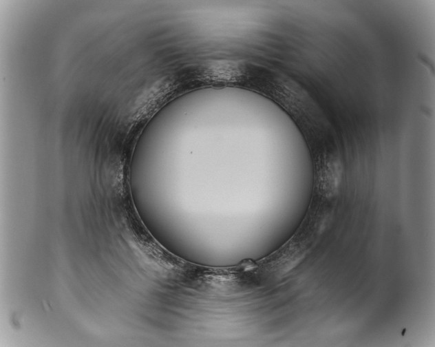 X0000099940552200806131427