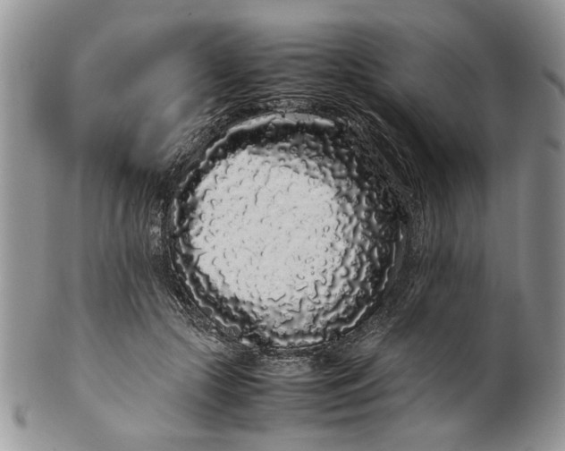 X0000099940553200806131427