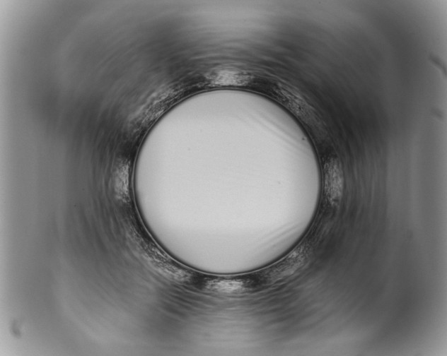 X0000099940554200806131427