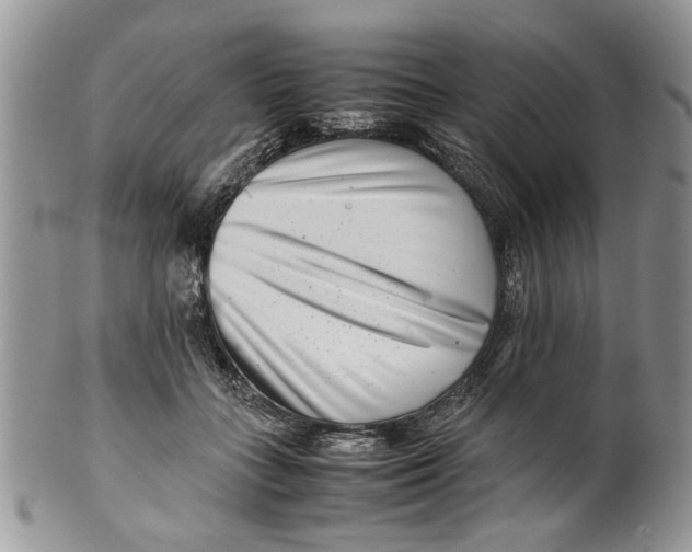 X0000099940555200806131427