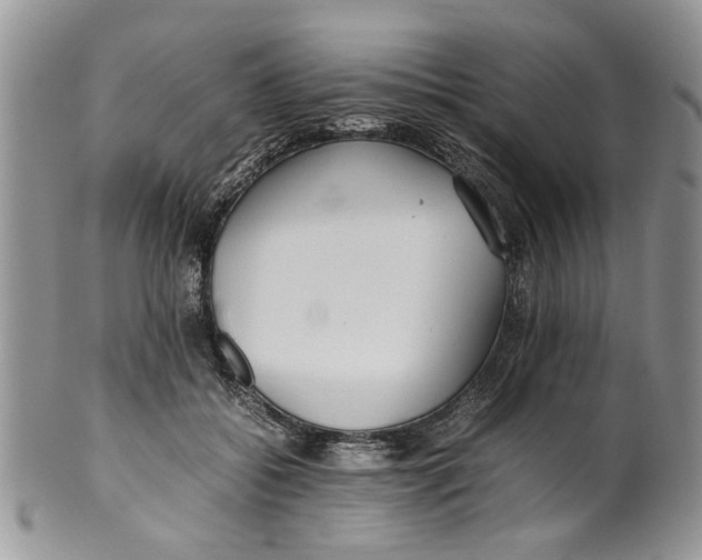 X0000099940556200806131427