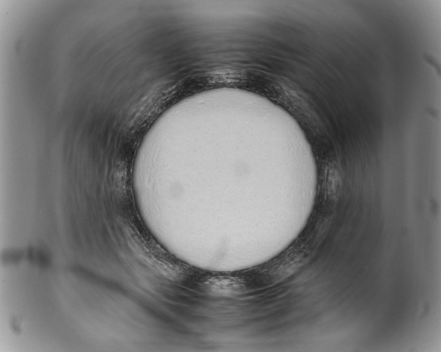 X0000099940557200806131427