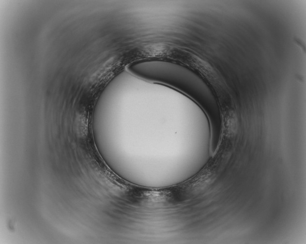 X0000099940558200806131427