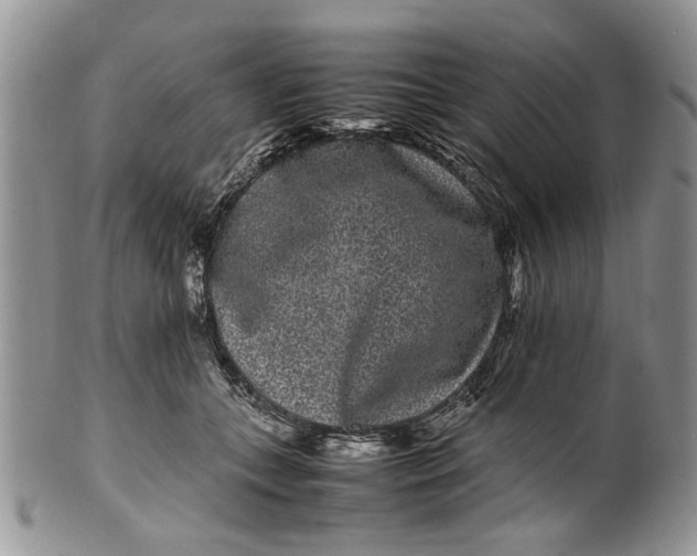 X0000099940559200806131427