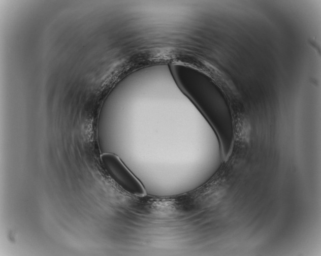 X0000099940560200806131428