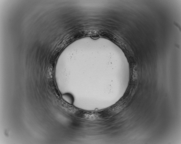 X0000099940561200806131428