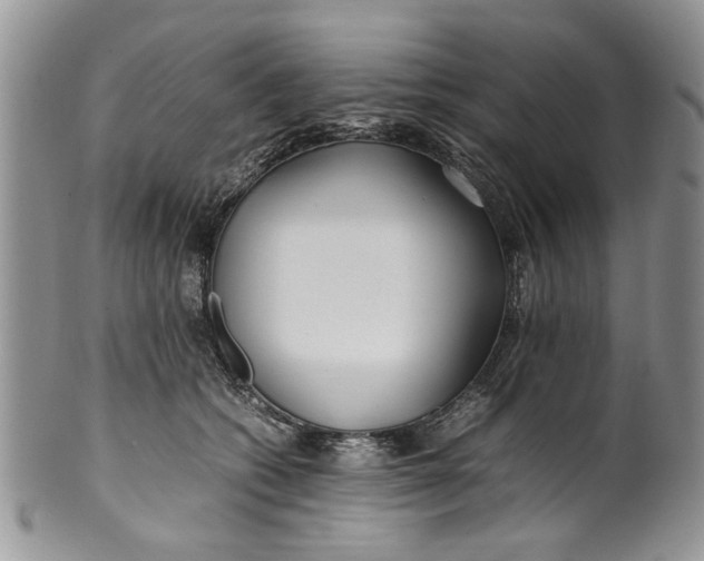 X0000099940562200806131428