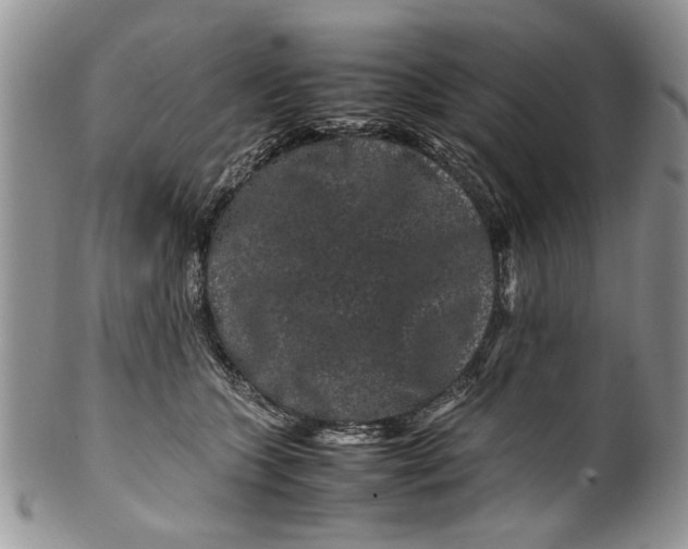 X0000099940563200806131428