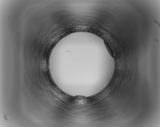 X0000099940564200806131428