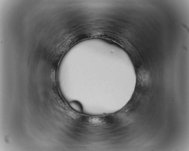 X0000099940565200806131428