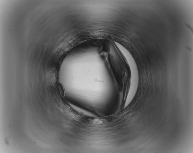 X0000099940566200806131428