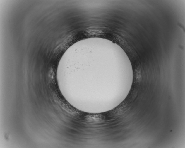 X0000099940567200806131428