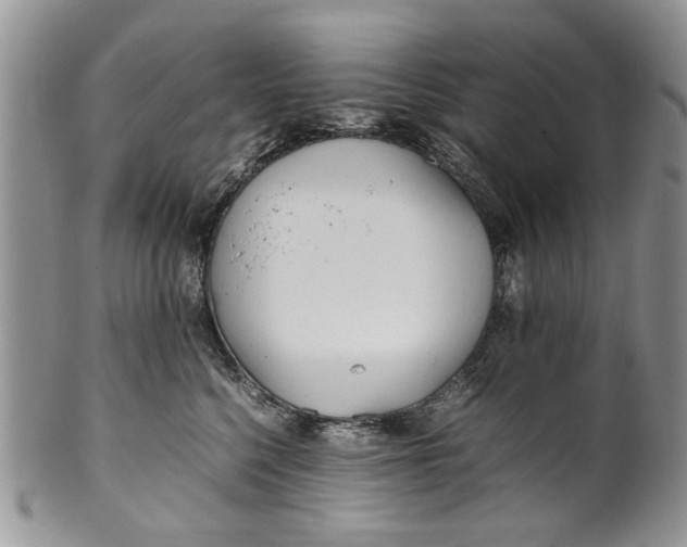 X0000099940568200806131428