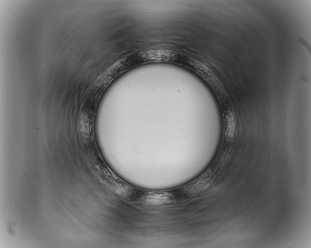 X0000099940569200806131428