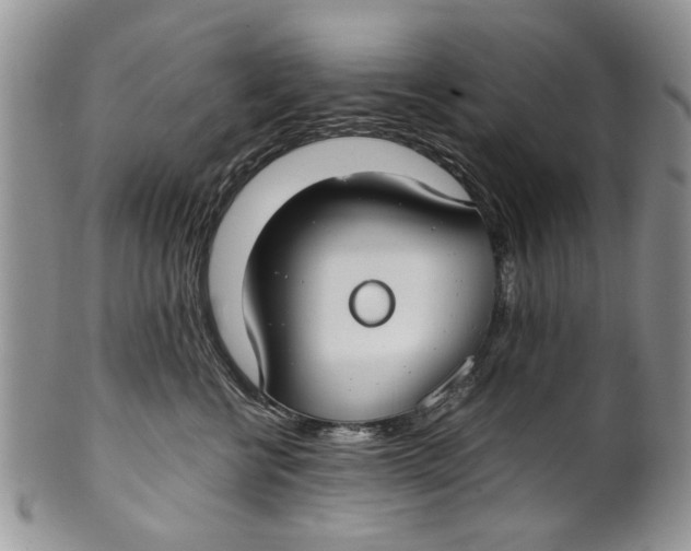 X0000099940570200806131428